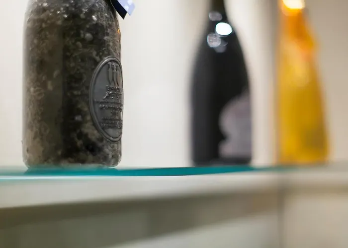 ホテル Dei Gonzaga 3*