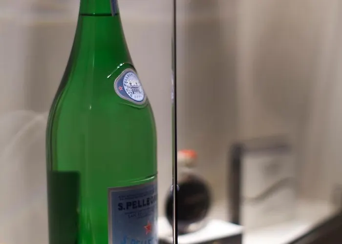 ホテル Dei Gonzaga Reggiolo