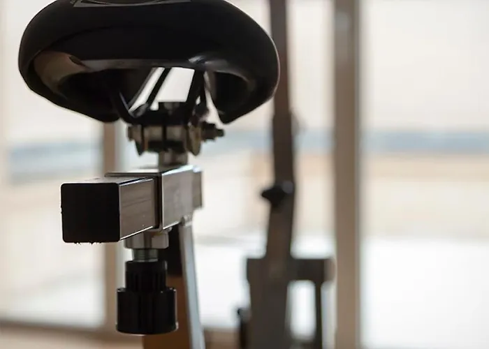 Dei Gonzaga 호텔 3*